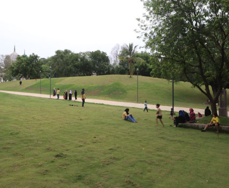 Fostering Community Engagement through Thriving Green Spaces